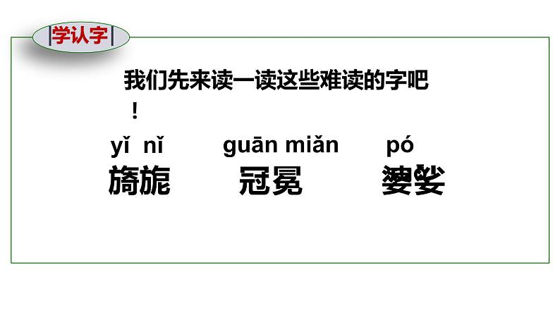 部编版六年级语文上册《花之歌》课件第5页