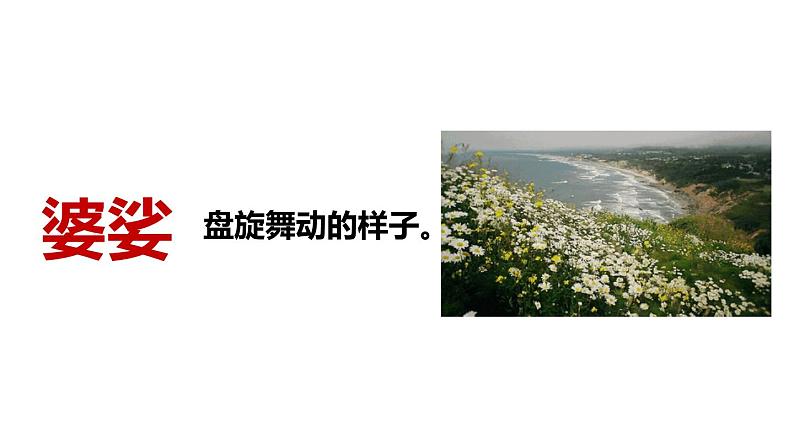 部编版六年级语文上册《花之歌》课件第8页