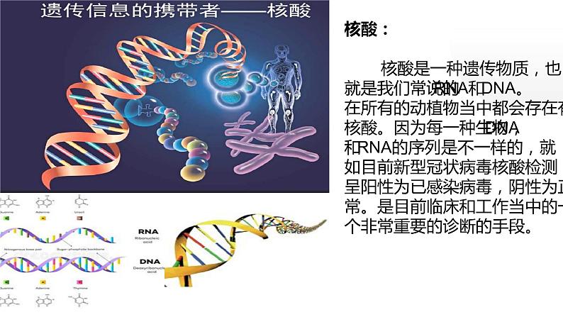 部编版六年级语文上册《宇宙生命之谜》教学课件06