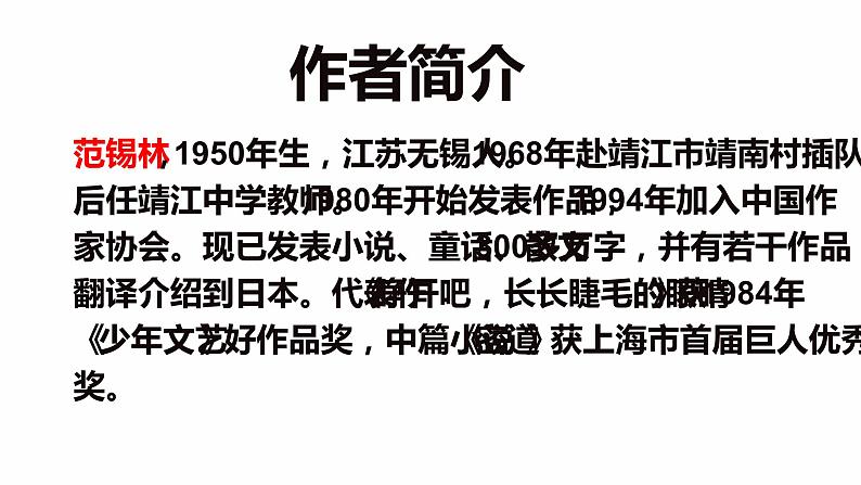部编版六年级语文上册《竹节人》课件04