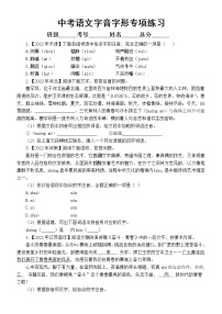 初中语文中考复习字音字形专项练习2（2022中考真题，附参考答案和解析）