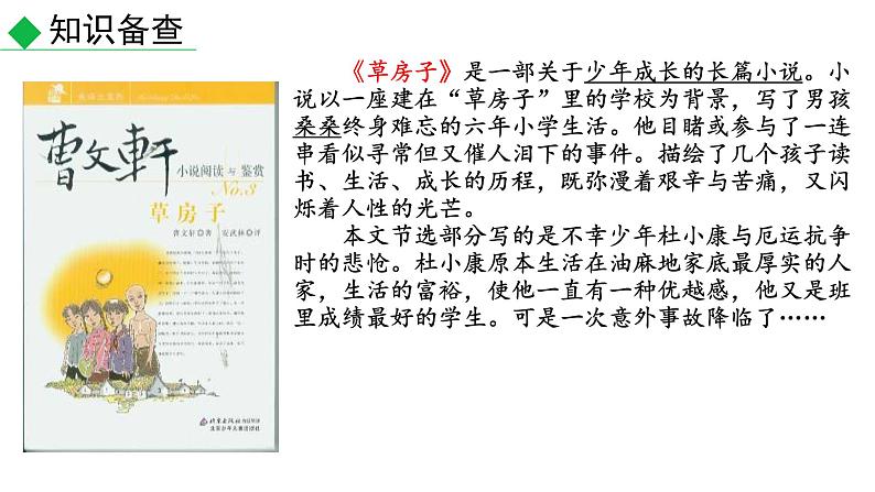 部编版九年级语文上册--17.孤独之旅1（精品课件）06