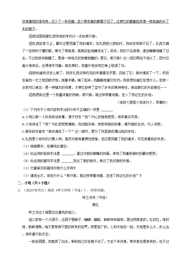 黑龙江省2022年中考语文真题分题型分层汇编-05现代文阅读（小说&散文）第2页