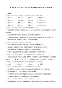 黑龙江省2022年中考语文真题分题型分层汇编-01选择题