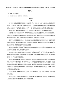 贵州省2022年中考语文真题分题型分层汇编-06现代文阅读（小说&散文）