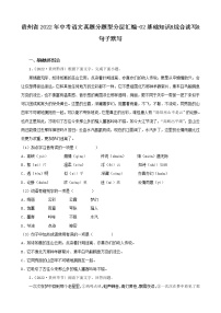 贵州省2022年中考语文真题分题型分层汇编-02基础知识&综合读写&句子默写