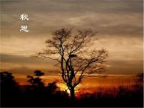 初中语文人教部编版七年级上册天净沙·秋思教学课件ppt