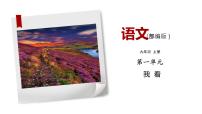 初中语文人教部编版九年级上册6 我看备课ppt课件