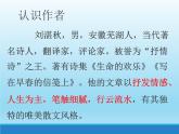 《雨的四季》-2022-2023学年七年级语文上学期课件（部编版）