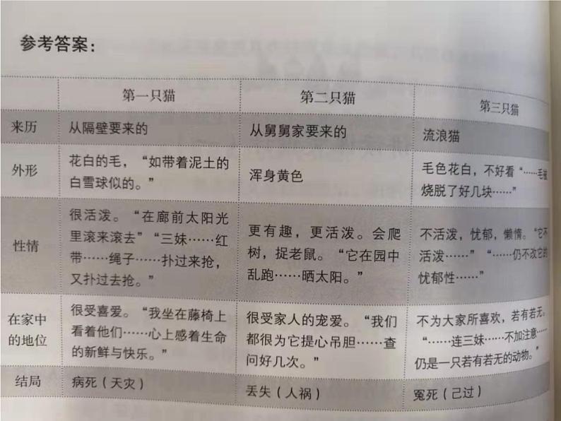 《猫》-2022-2023学年七年级语文上学期课件（部编版）第5页