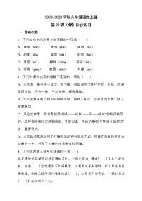 初中语文人教部编版八年级上册21* 蝉精品练习题