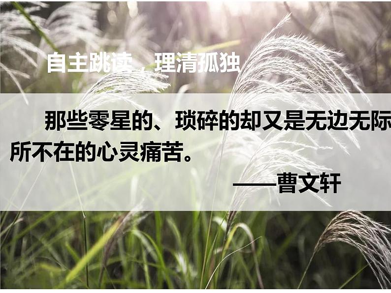 人教部编版九年级上册《孤独之旅》教学课件06