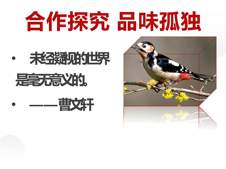 人教部编版九年级上册《孤独之旅》教学课件08