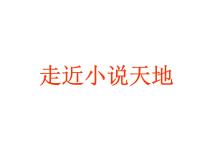 初中语文人教部编版九年级上册综合性学习 走进小说天地教学ppt课件