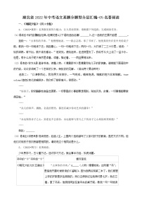 湖北省2022年中考语文真题分题型分层汇编-05名著阅读