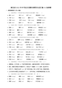 湖北省2022年中考语文真题分题型分层汇编-01选择题