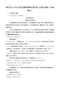 浙江省2022年中考语文真题分题型分层汇编-05现代文阅读（小说&散文）