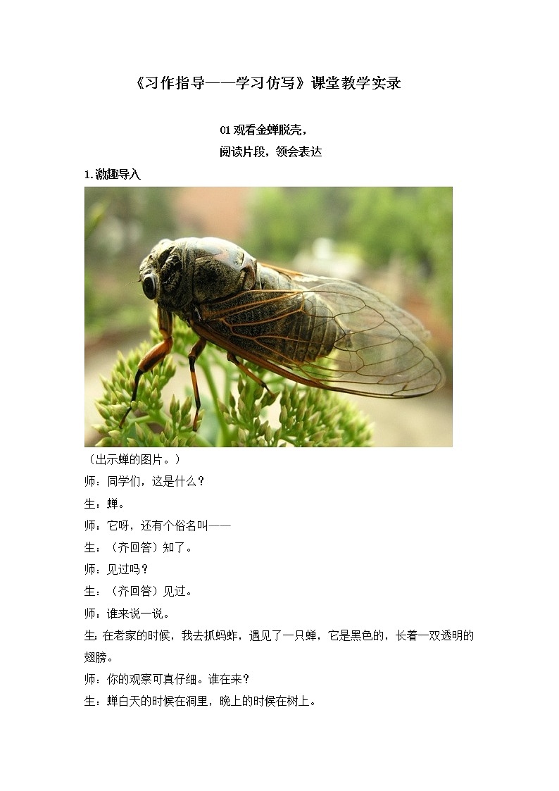 一单元《学习仿写》教学实录第1页