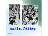 人教部编版九年级上册《我爱这土地》课件
