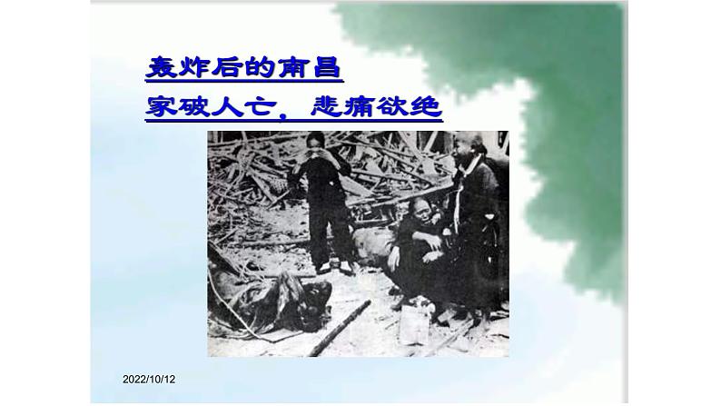 人教部编版九年级上册《我爱这土地》课件06