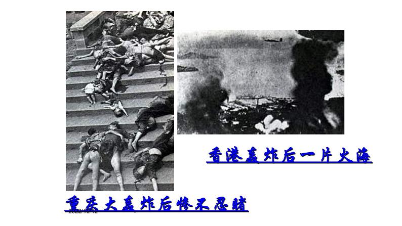 人教部编版九年级上册《我爱这土地》课件08