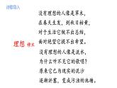 人教部编版九年级上册《我看》课件