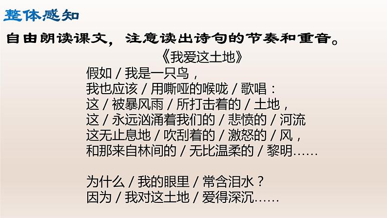 部编版九年级语文上册3.我爱这土地【课件】08