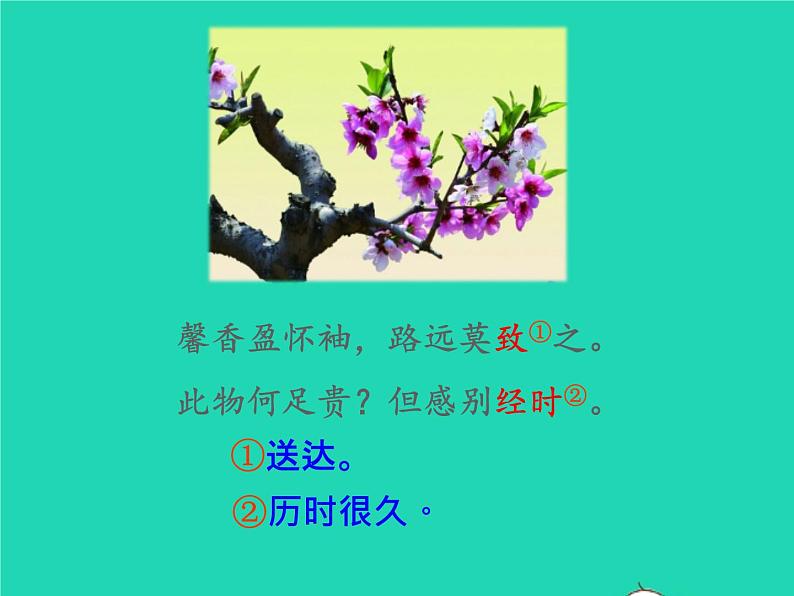 八年级语文上册第三单元课外古诗词诵读庭中有奇树教学课件新人教版06
