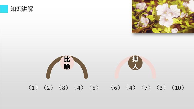 人教版（部编版）初中语文七年级上册 1 春  PPT课件06