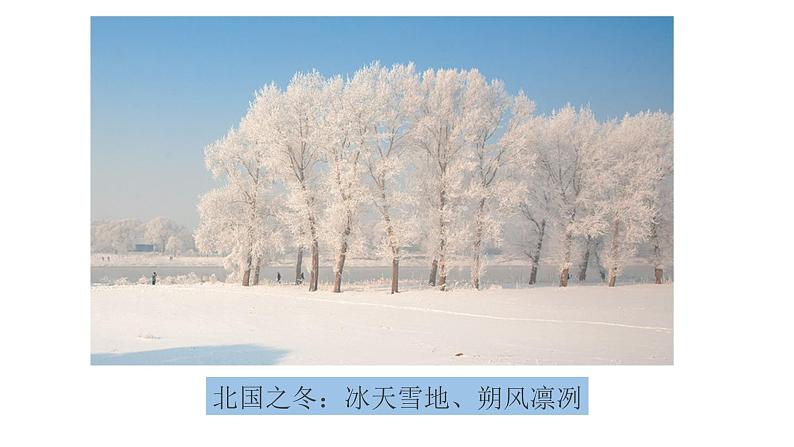 部编版七年级语文上册 2《济南的冬天》课件第2页