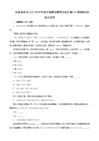 山东省各市2022年中考语文真题分题型分层汇编-03基础知识&语言运用