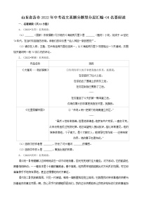 山东省各市2022年中考语文真题分题型分层汇编-04名著阅读