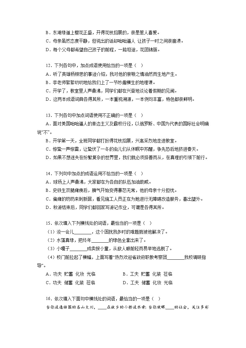 02词语（成语）的运用－2022-2023学年七年级语文上学期期中专题复习 （原卷版）第3页
