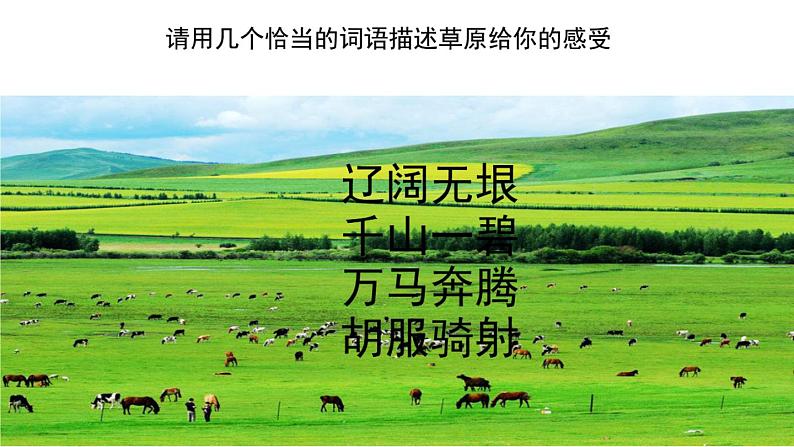 部编版六年级语文上册《草原》教学课件01