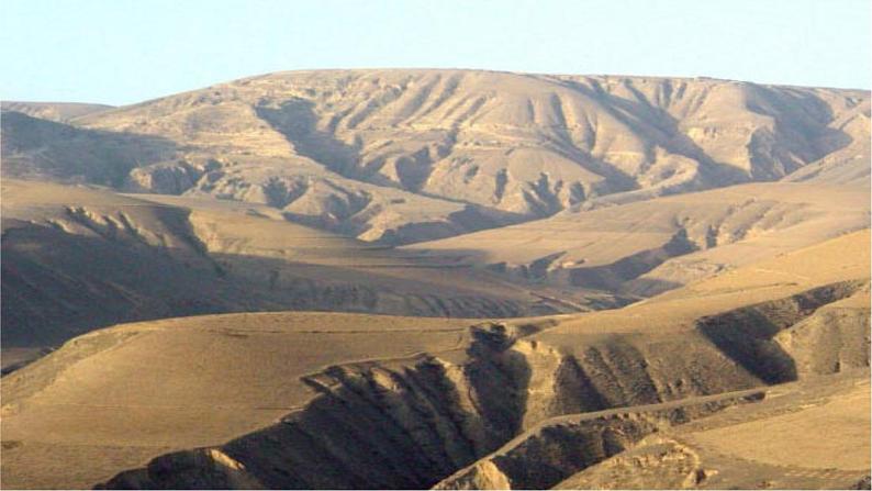 部编版八年级语文上册--15  白杨礼赞-精品课件第5页