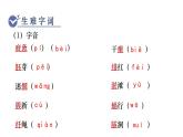 统编版九年级语文下册课件 第1单元 1  祖国啊，我亲爱的祖国