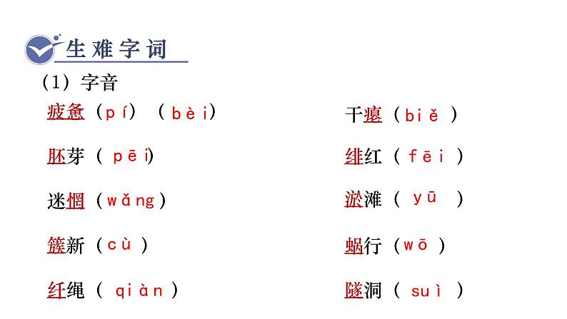 统编版九年级语文下册课件 第1单元 1  祖国啊，我亲爱的祖国04