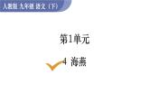 统编版九年级语文下册课件 第1单元 4  海燕