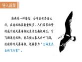统编版九年级语文下册课件 第1单元 4  海燕