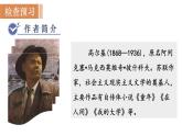 统编版九年级语文下册课件 第1单元 4  海燕