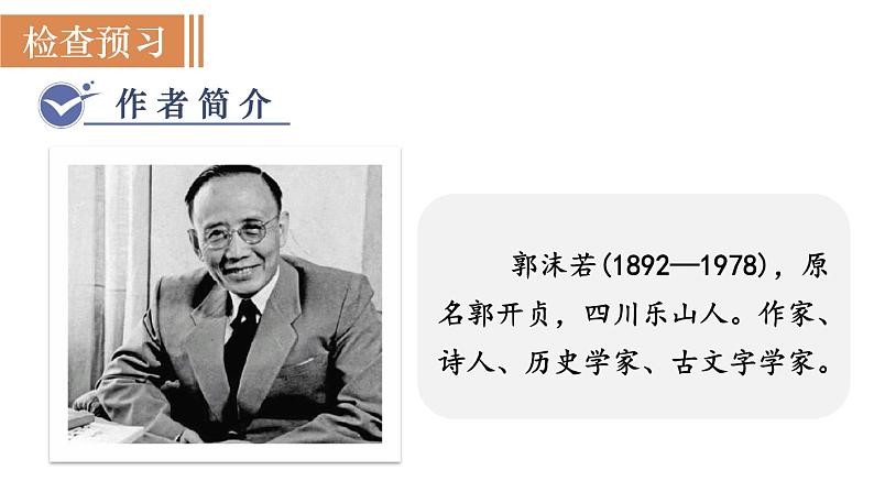 统编版九年级语文下册课件 第5单元 17  屈原（节选）04