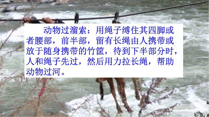 《溜索》 课件04