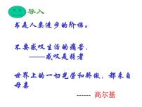 初中语文人教部编版九年级下册4 海燕课堂教学课件ppt