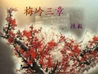 人教部编版九年级下册2* 梅岭三章教学演示ppt课件