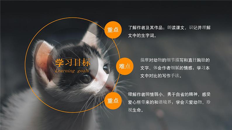 人教部编版语文七年级上册《猫》精品教学PPT课件02