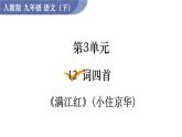統(tǒng)編版九年級語文下冊課件 第3單元 12  詞四首 滿江紅