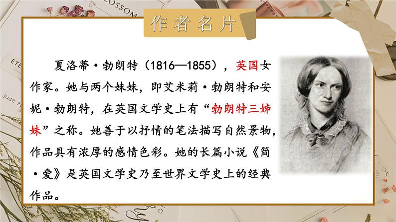 部编版初中语文九年级下册 第六单元 名著导读 《简·爱》 外国小说的阅读【考点精讲版】 PPT课件02
