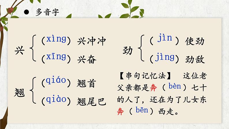 部编版初中语文九年级下册 第五单元 19 枣儿【考点精讲版】 PPT课件08