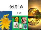 部编版八年级语文上册课件--16  《散文二篇》