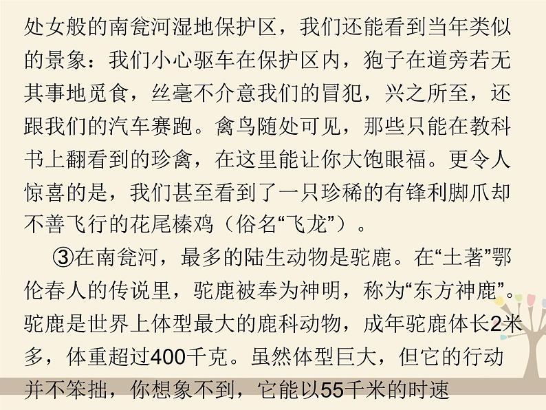 人教版（部编版）初中语文七年级上册 专题八 实用类文本阅读  课件03